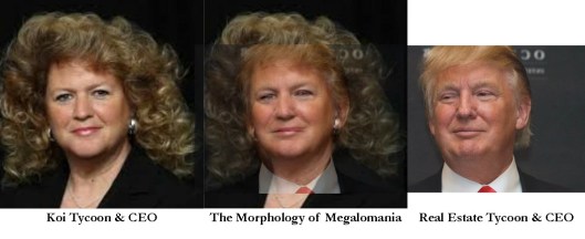 Morphology of Megalomania
